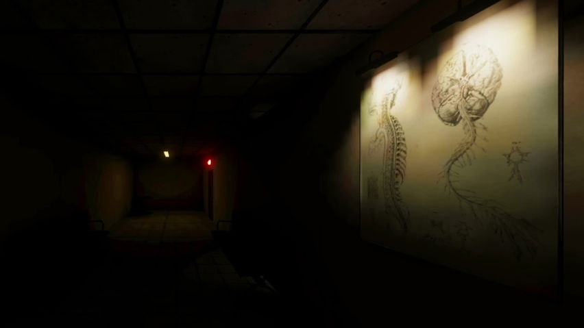 Fractured Sanity