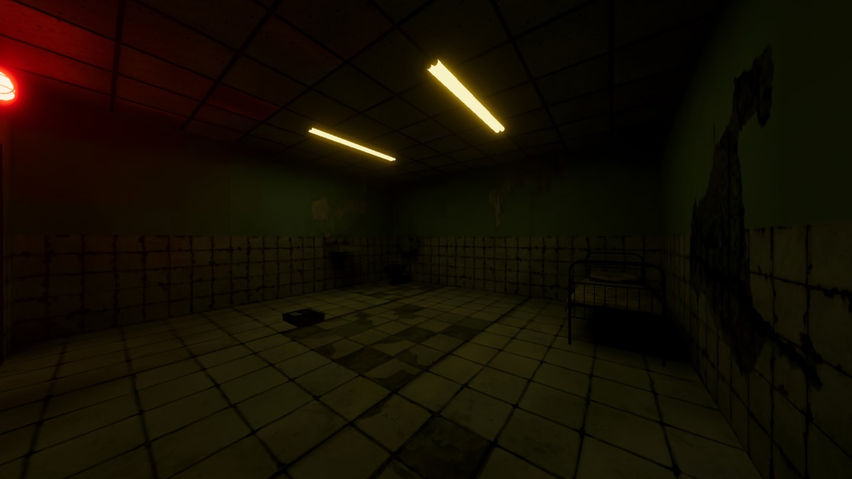 Fractured Sanity
