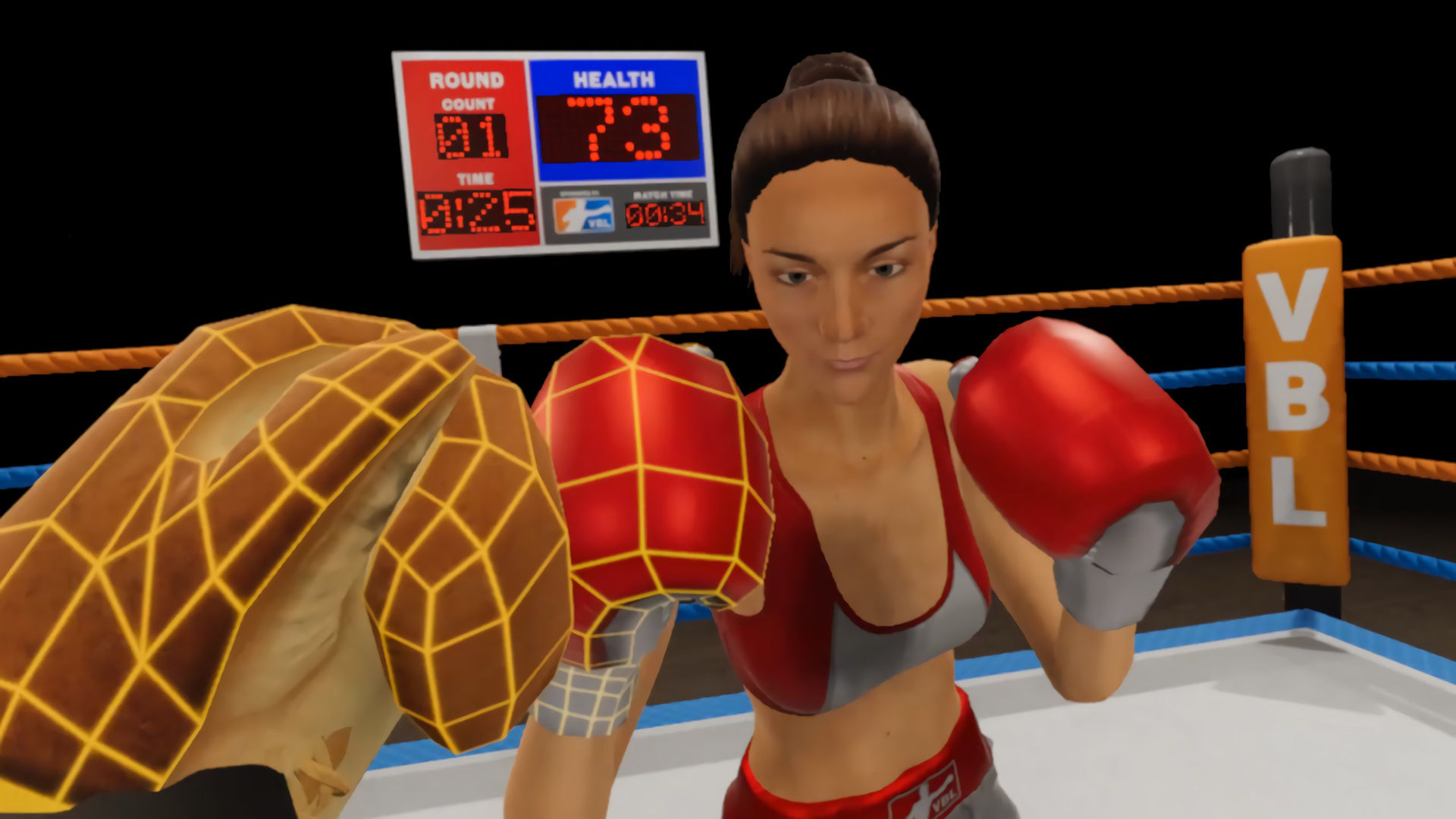Бокс симулятор старые версии. Женский бокс игра. Виртуальный бокс игра. Женский бокс игра на ПК. Боксинг лига.