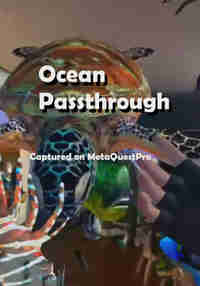 Ocean Passthrough