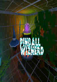 Pinball Wiznerd