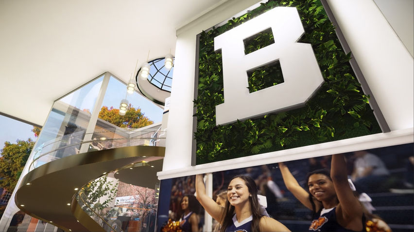 Bucknell Virtual Experience