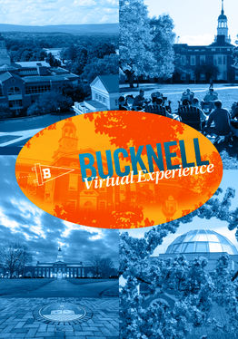 Bucknell Virtual Experience