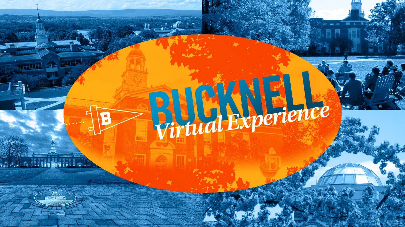 Bucknell Virtual Experience