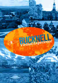Bucknell Virtual Experience