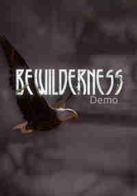 Bewilderness