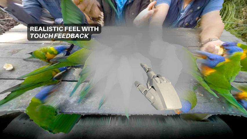 Touchly Volumetric VR Video Player
