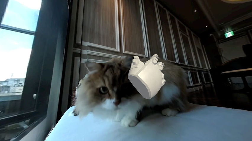 Touchly Volumetric VR Video Player