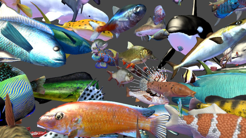 Landz and Seaz Mixed Reality