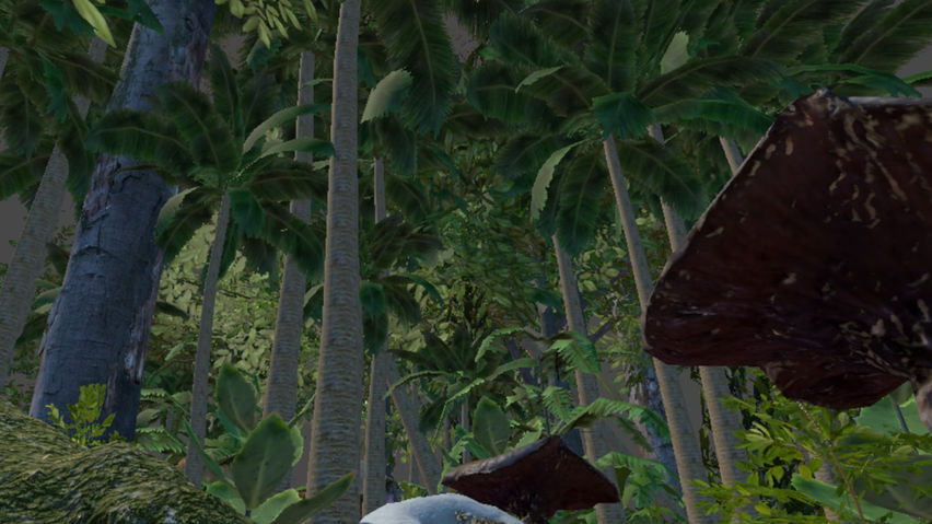 Jungle Passthrough