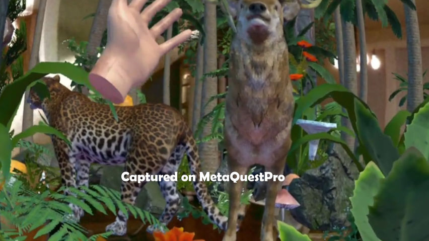 Jungle Passthrough