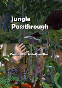 Jungle Passthrough