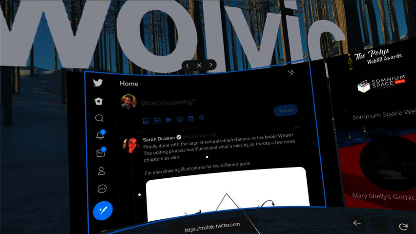 Wolvic (outdated App Lab version)