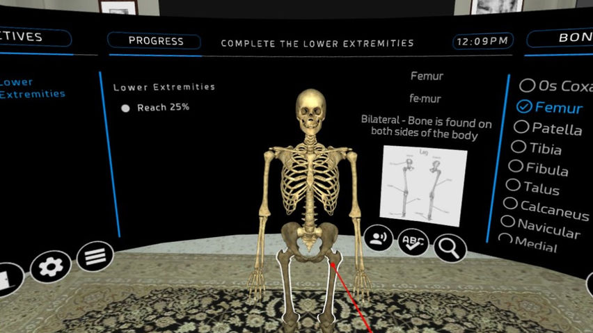 Human Osteology VR