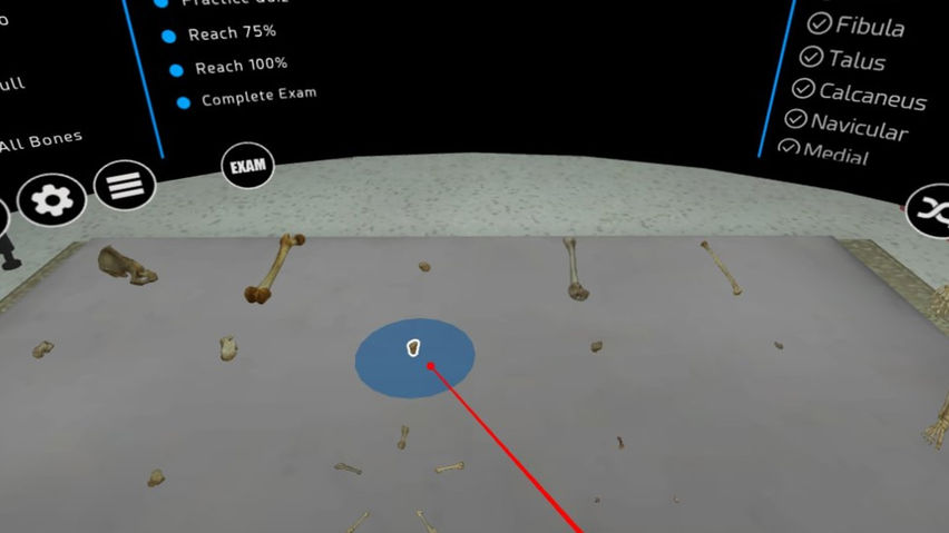 Human Osteology VR