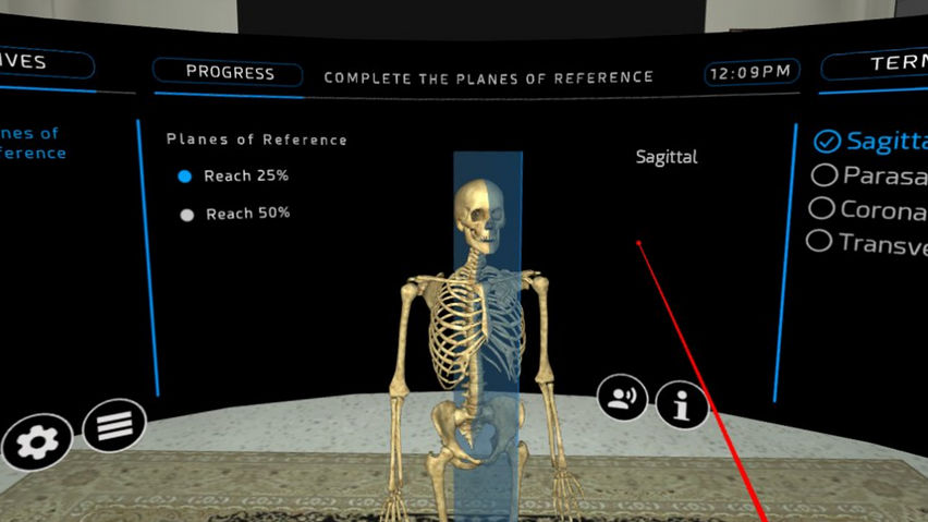 Human Osteology VR