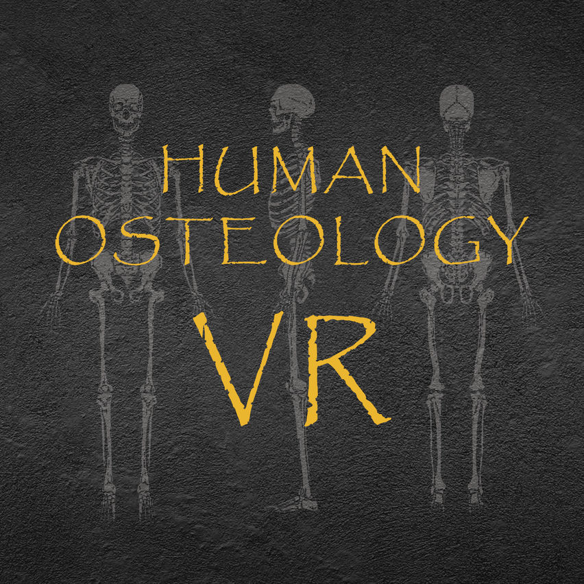 Human Osteology VR