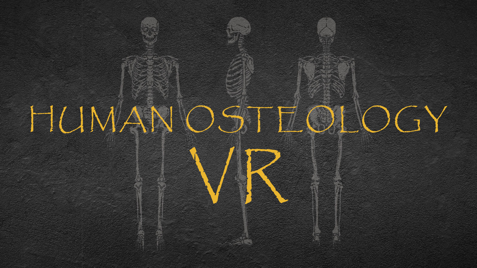 Human Osteology VR