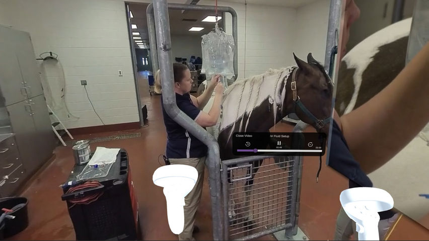 Exero Vet