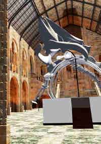 Imagination Library