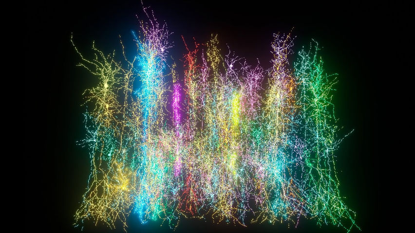 Cajal's Dream