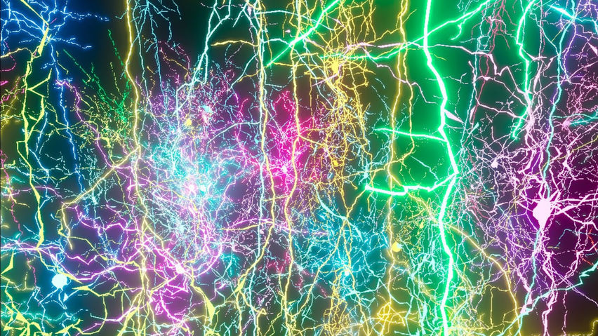 Cajal's Dream