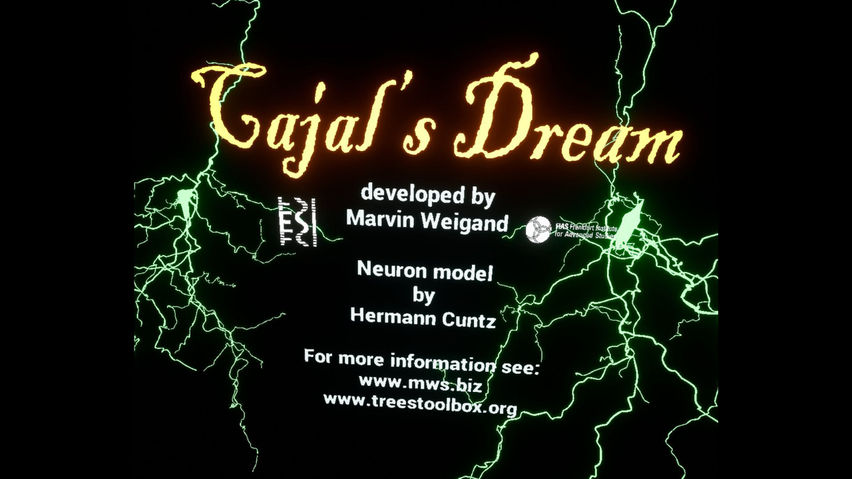 Cajal's Dream