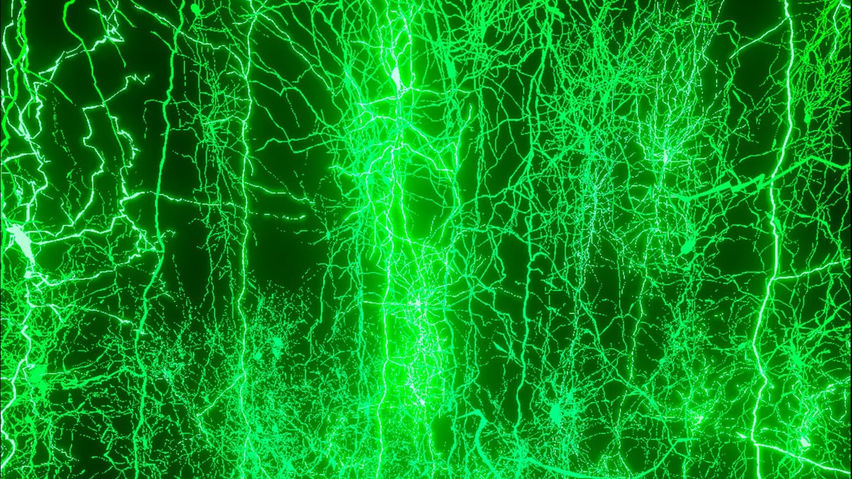 Cajal's Dream