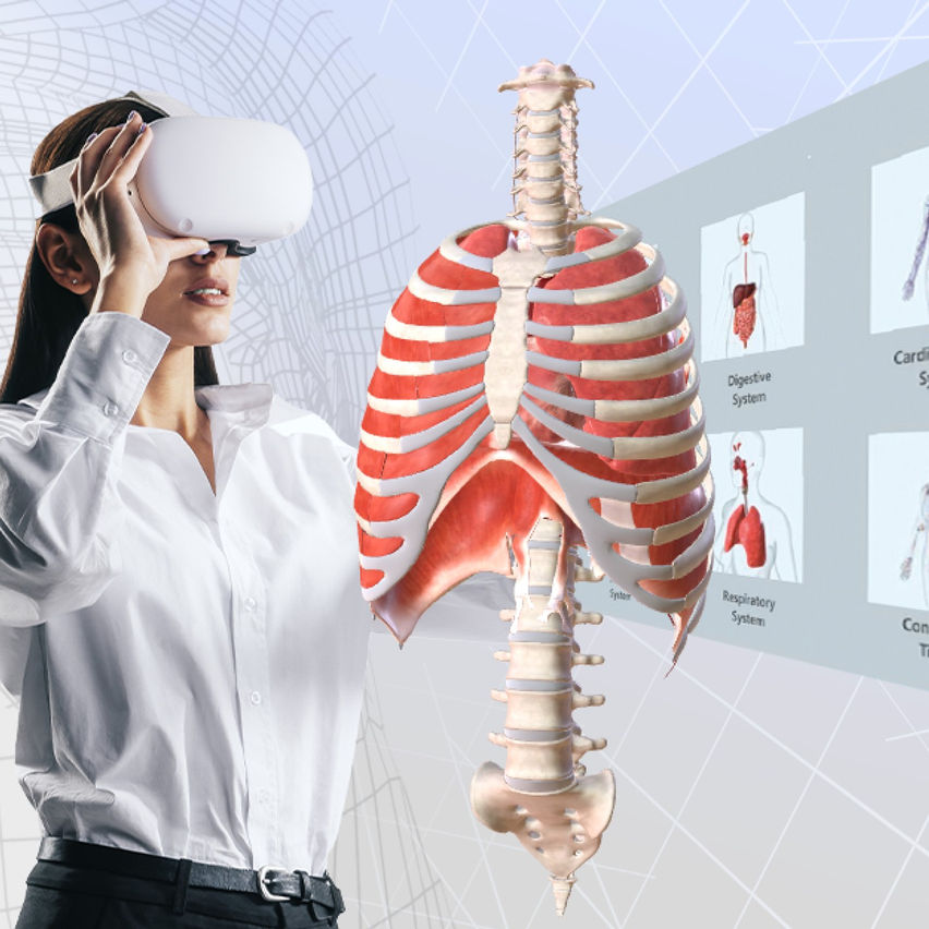 BioDigital Human