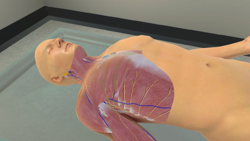 BioDigital Human