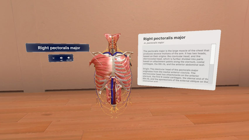 BioDigital Human