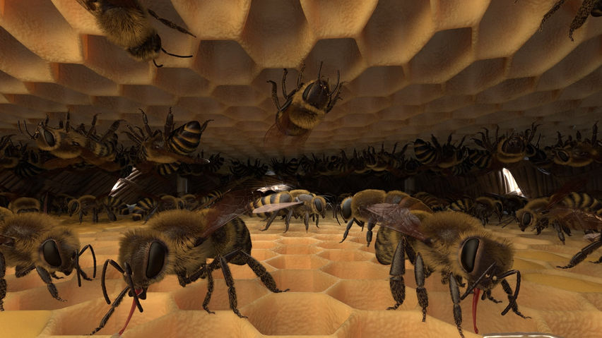 Honeybee VR