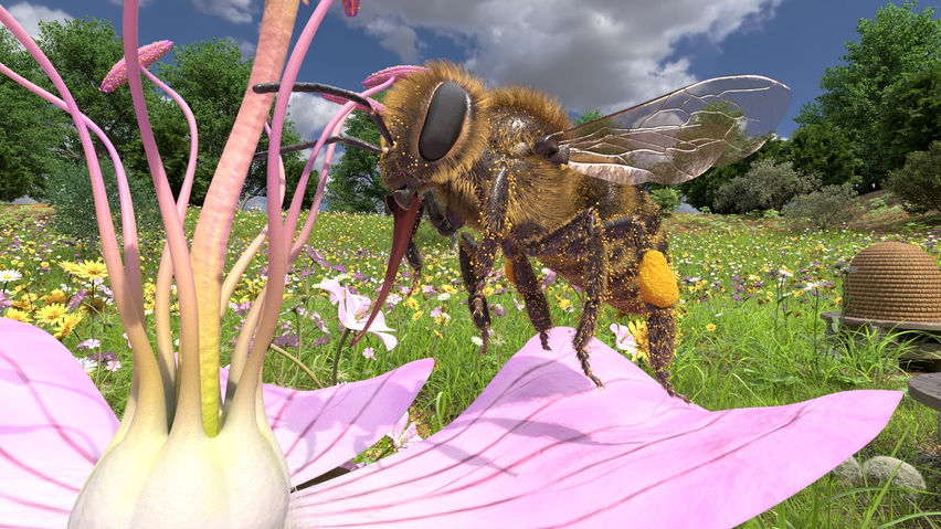 Honeybee VR