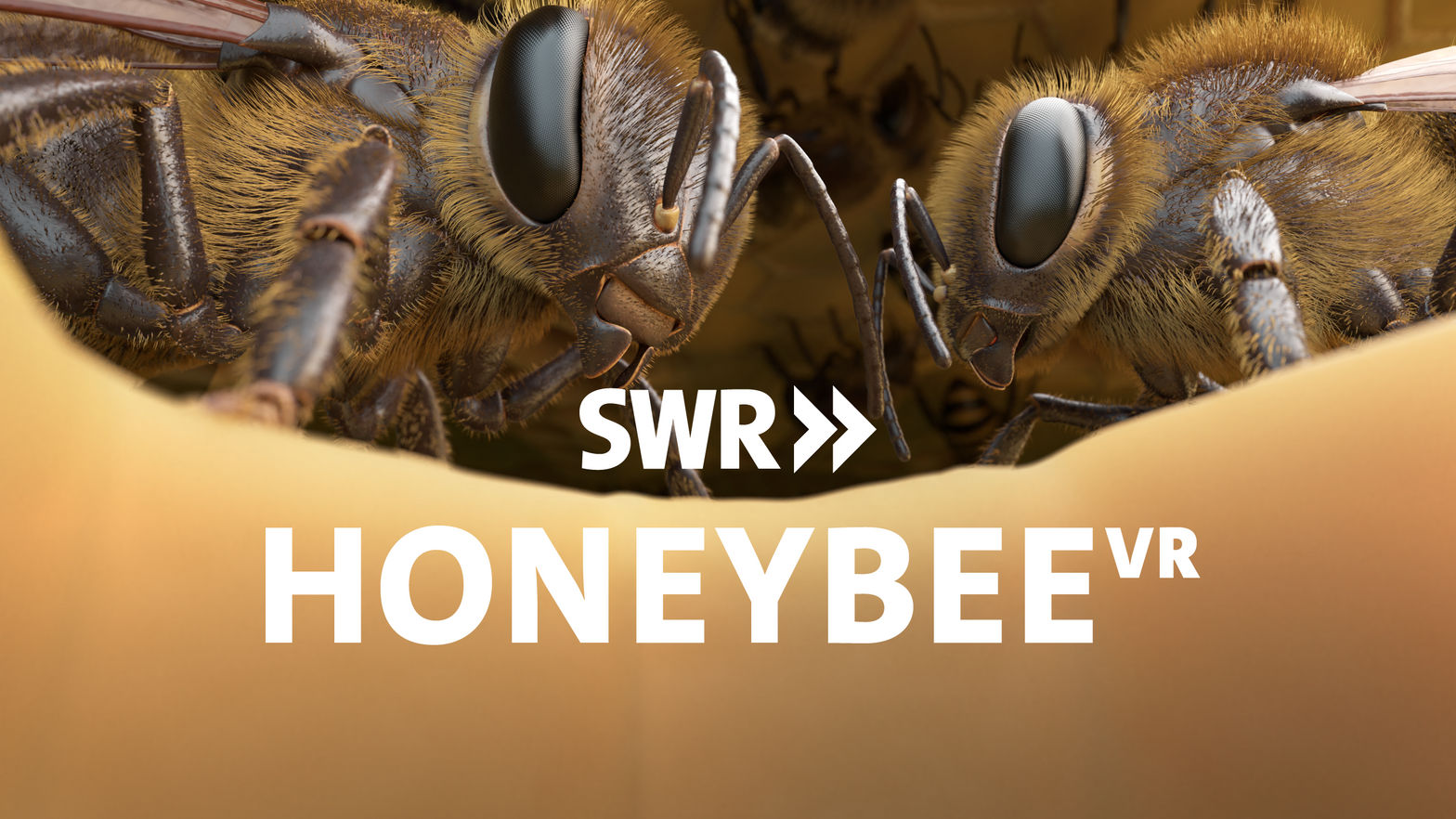 Honeybee VR