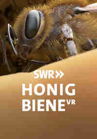 Honeybee VR