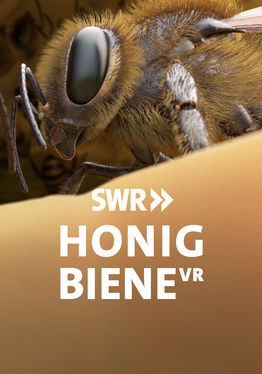 Honeybee VR