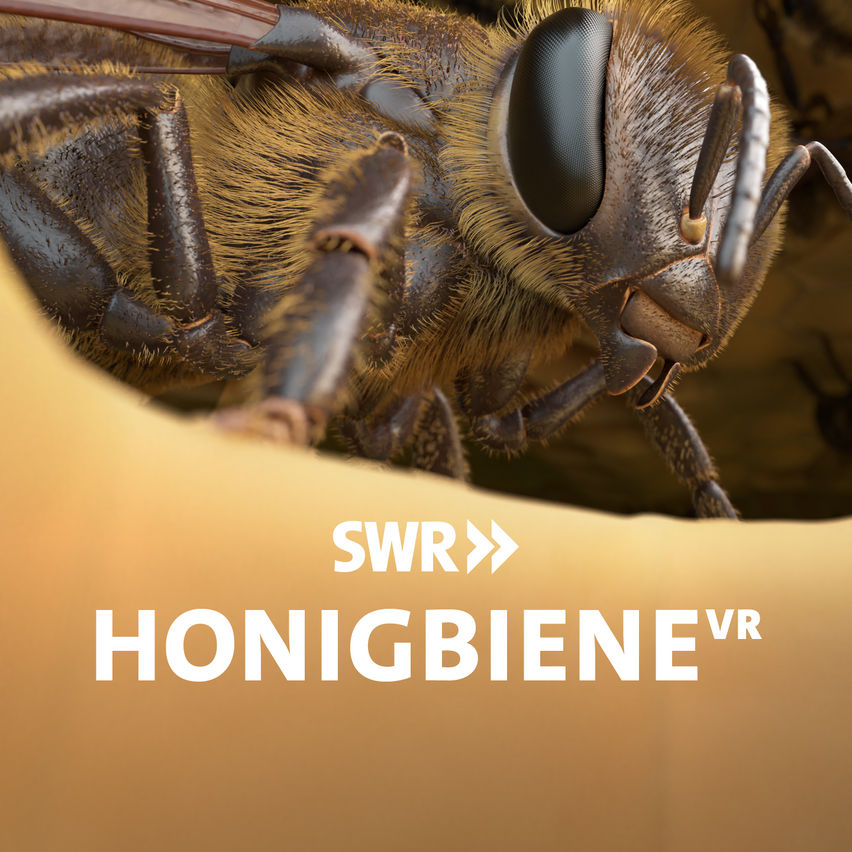 Honeybee VR