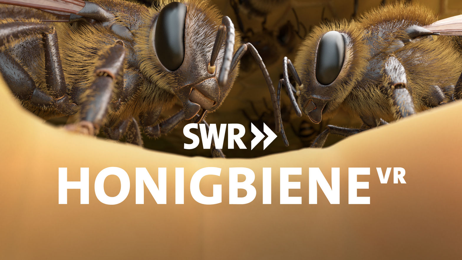 Honeybee VR