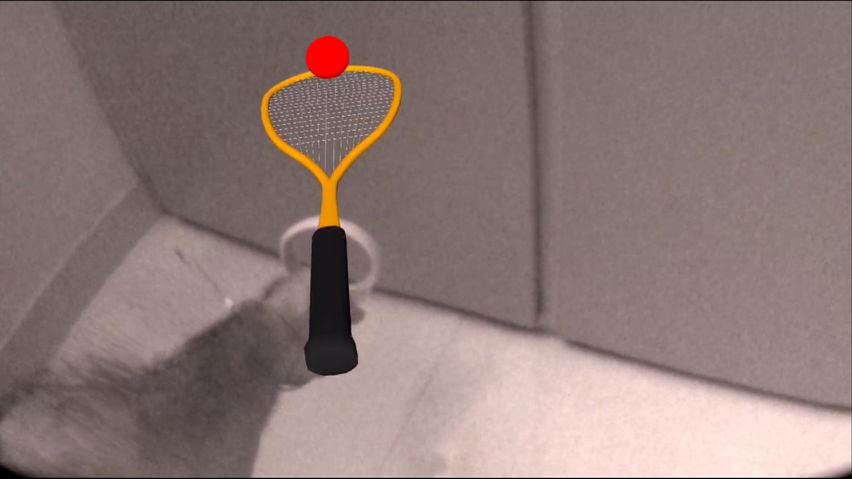 Squash AR