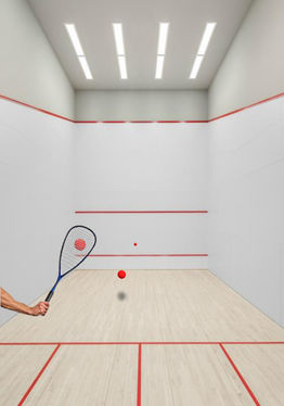 Squash AR
