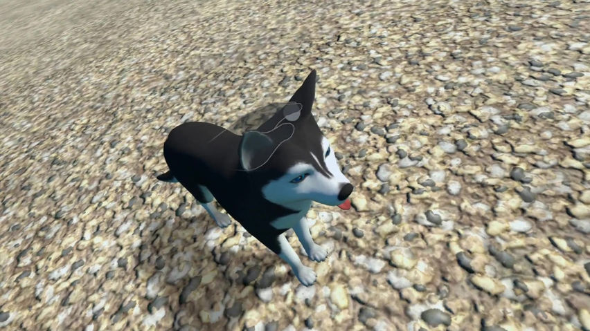 Nibbler - Your Virtual Pet