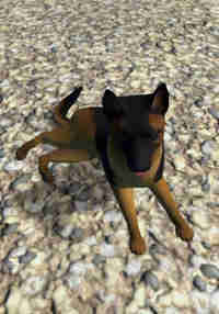 Nibbler - Your Virtual Pet