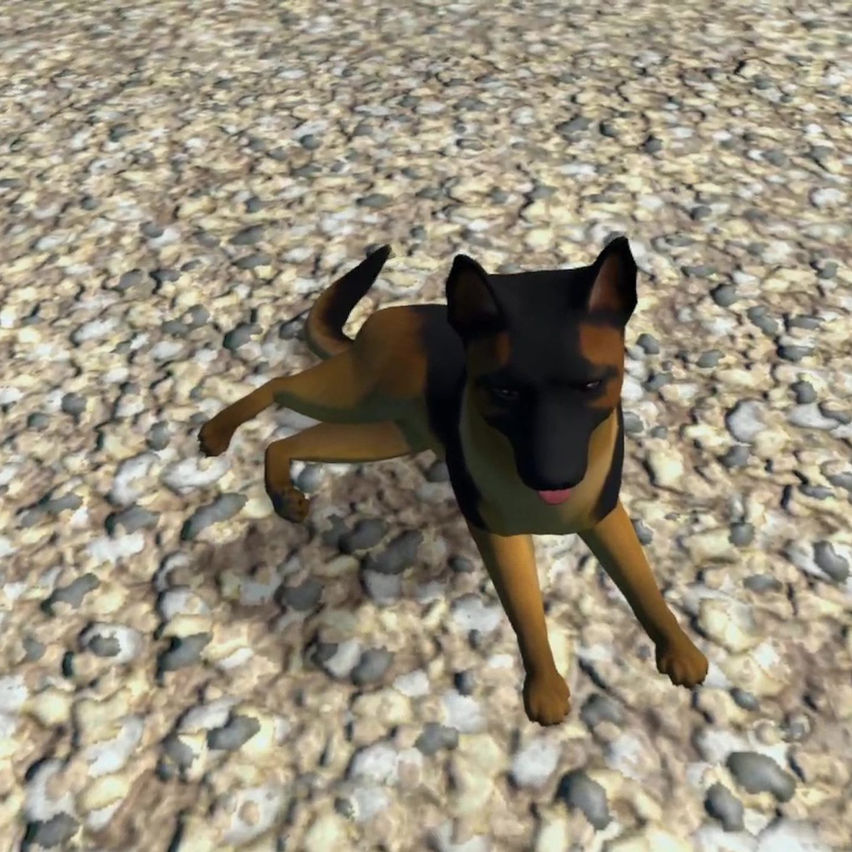 Nibbler - Your Virtual Pet