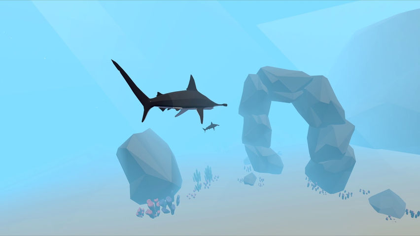 The Last Shark