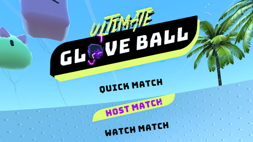Ultimate Glove Ball