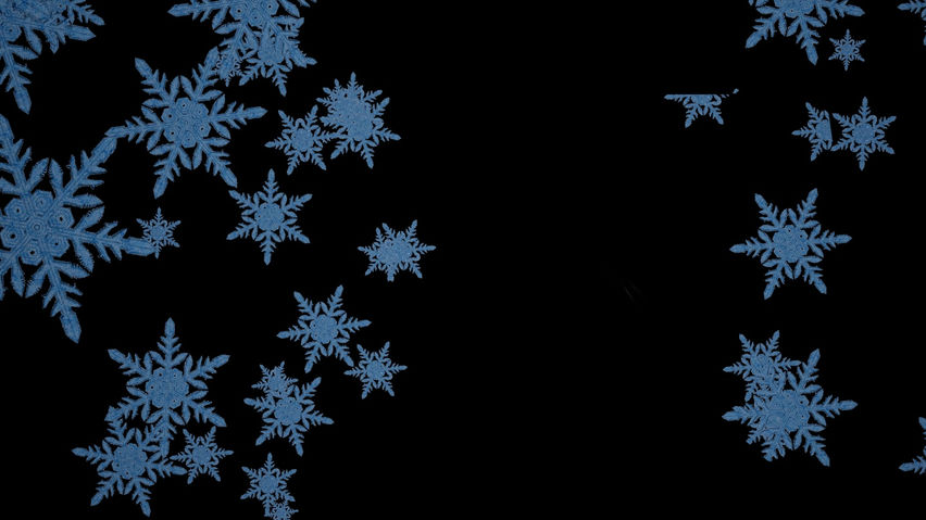 Project Snowflake