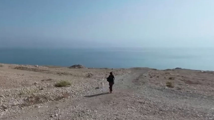 Once Upon a Sea - Ronit Hillel - The Muse