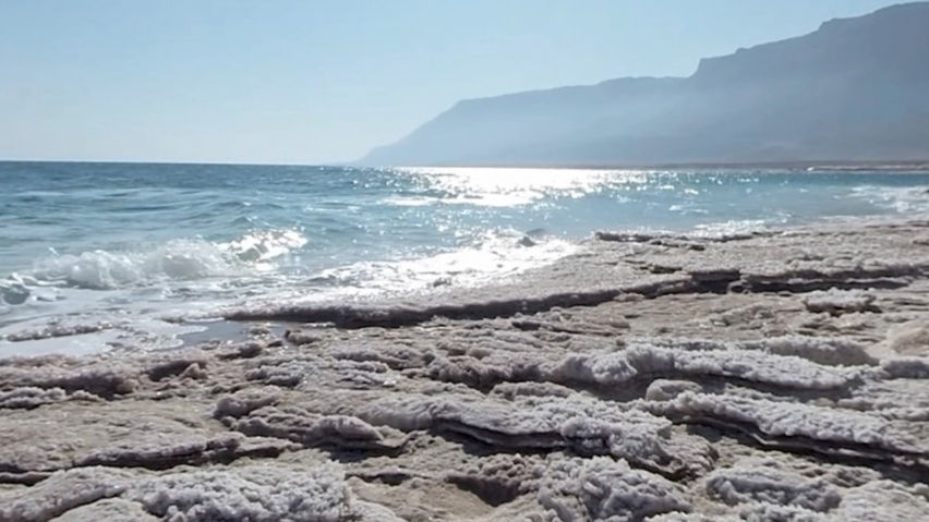 Once Upon a Sea - Ronit Hillel - The Muse