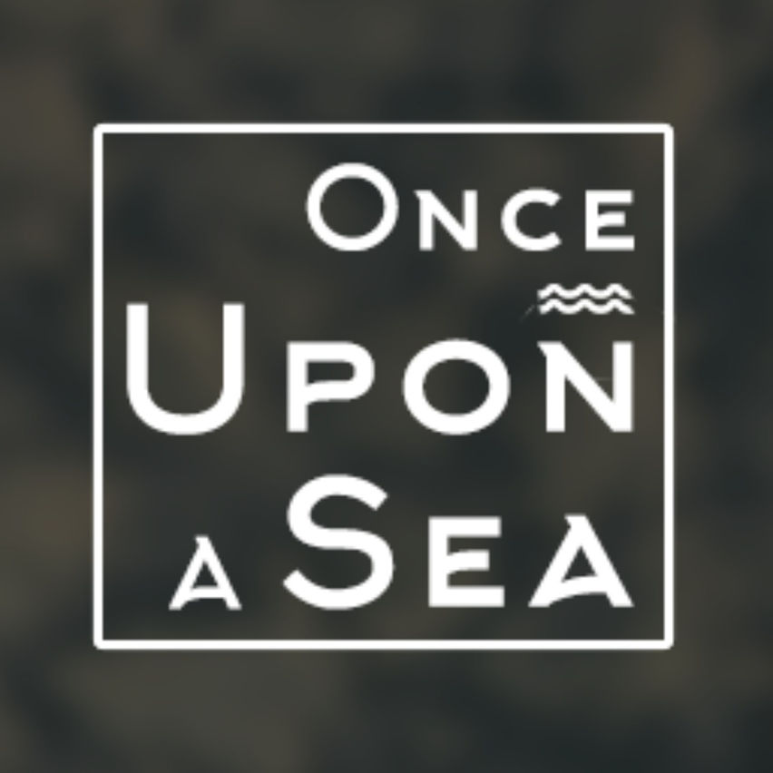 Once Upon a Sea - Ronit Hillel - The Muse