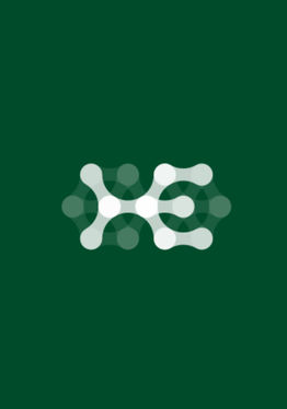 Holoeyes XR